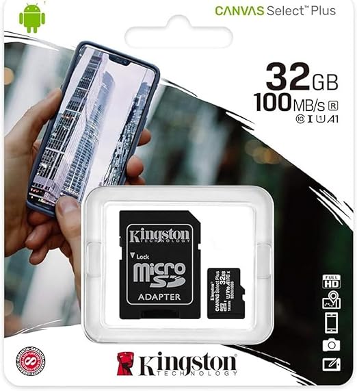 Kingston Scheda microSD Classe 10 con Adattatore SD Incluso, vari formati