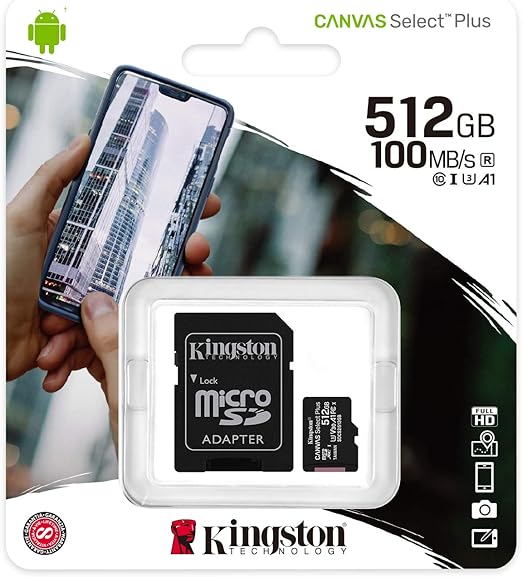 Kingston Scheda microSD Classe 10 con Adattatore SD Incluso, vari formati