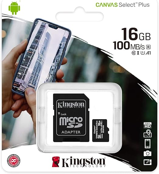 Kingston Scheda microSD Classe 10 con Adattatore SD Incluso, vari formati