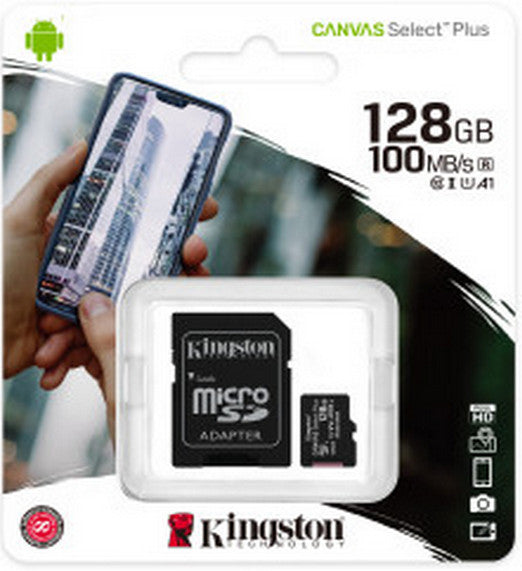 Kingston Scheda microSD Classe 10 con Adattatore SD Incluso, vari formati